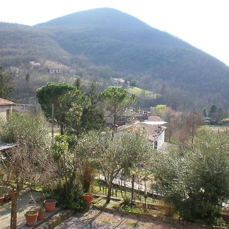 Locanda-Trattoria Al Rio Cinto Euganeo Extérieur photo